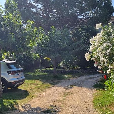 L'Olivier Chez Mame Marthe Villa Vallon-Pont-dʼArc Eksteriør billede